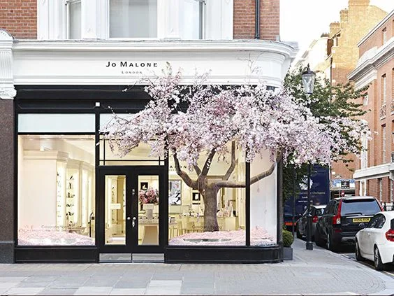 Jo Malone London Nashi Blossom — The Design Edit | A Journal by